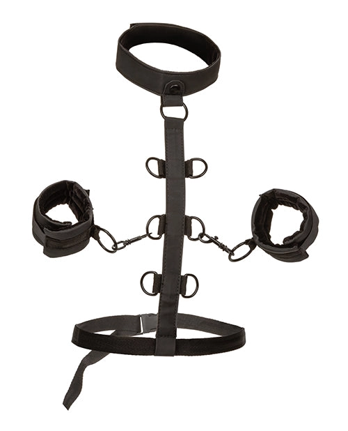 Boundless Collar Restraint Body Harness Kit
