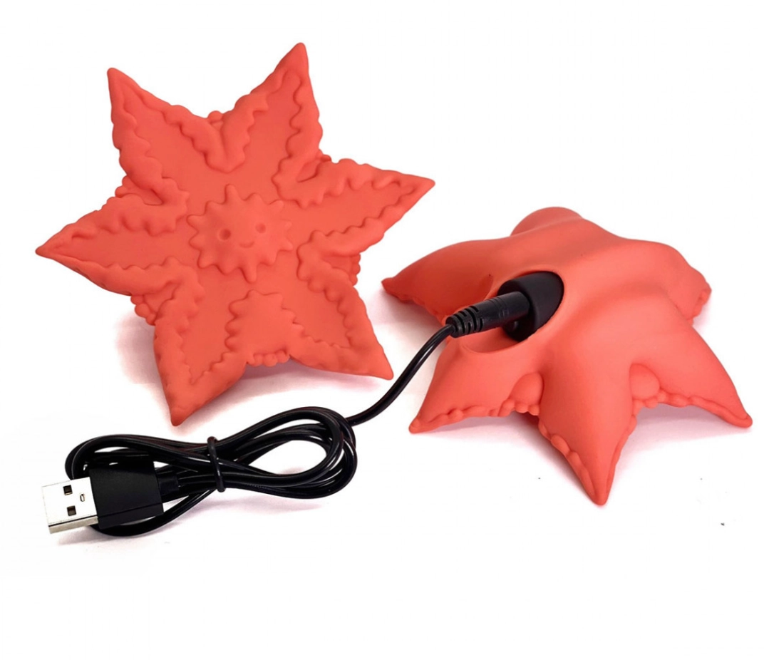 Cute Little Fuckers Starsi Rechargeable Handheld Vibrating Stimulator - All Colors