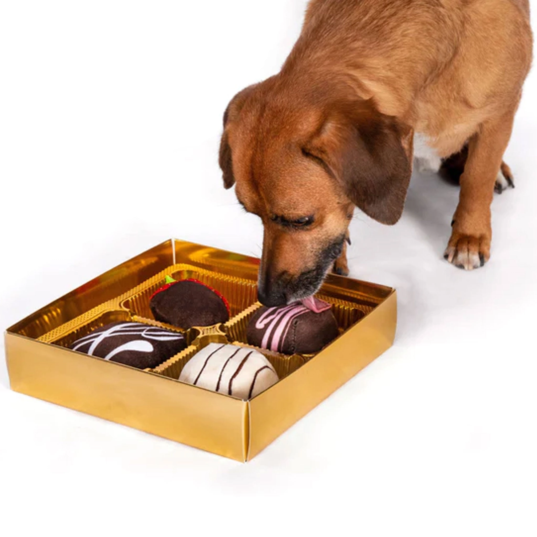 FabDog Dogiva Chocolates Dog Toys