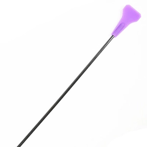 Fetish Pleasure Play Purple Crop