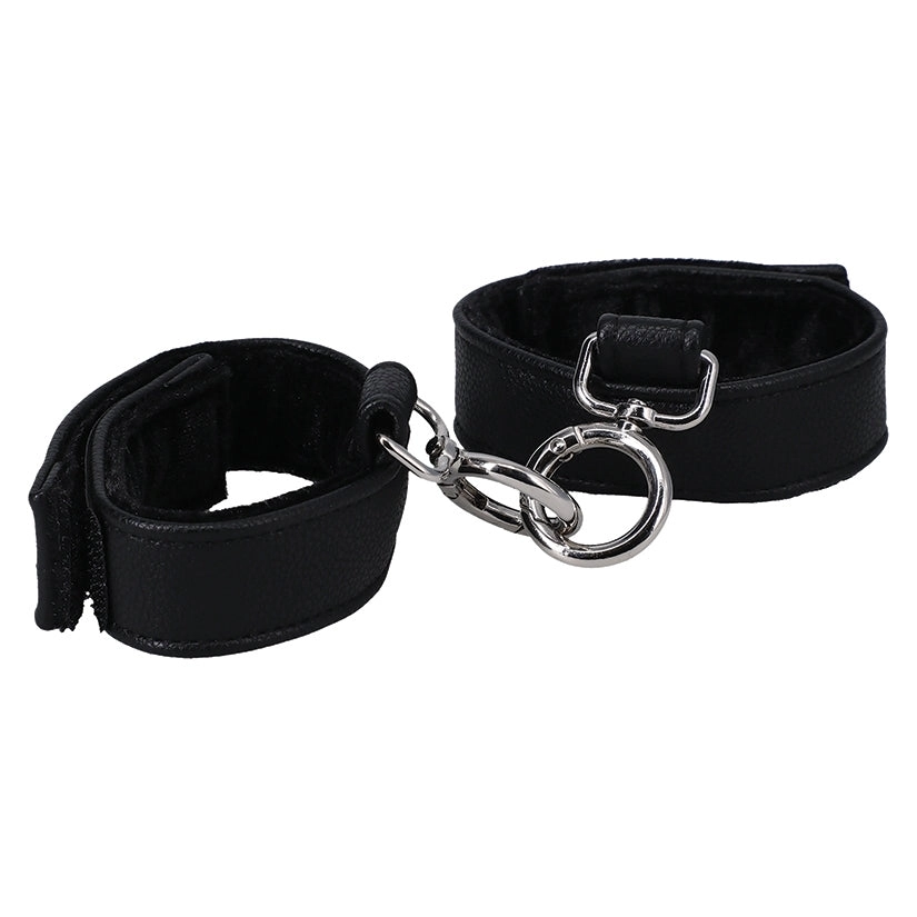 HandCuffs In A Bag