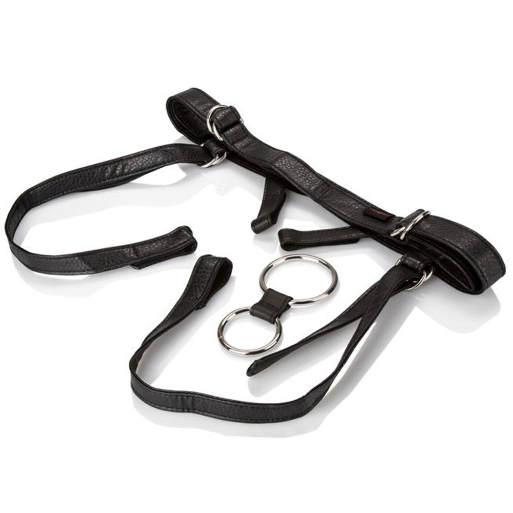 Her Royal Harness The Duchess-Black