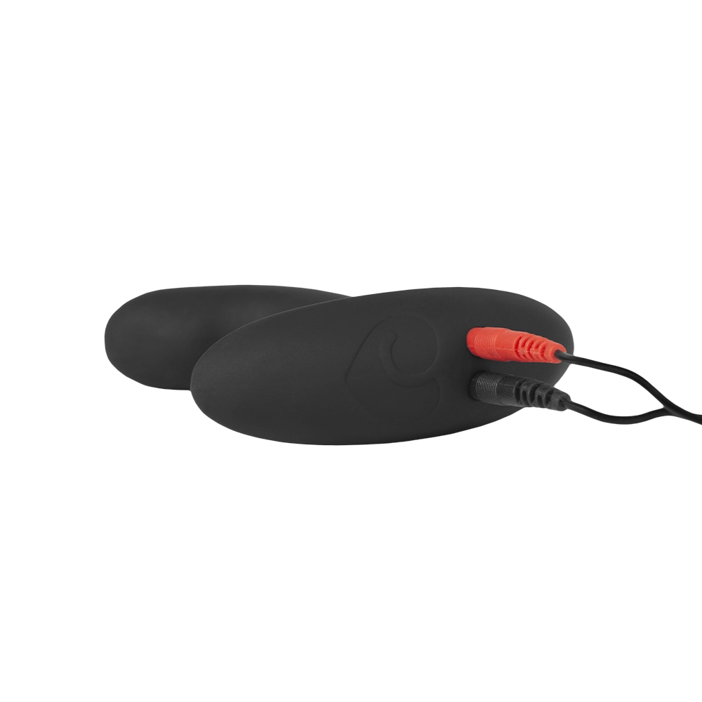 Lovehoney x ElectraStim Electro Booty Buddy Prostate Massager