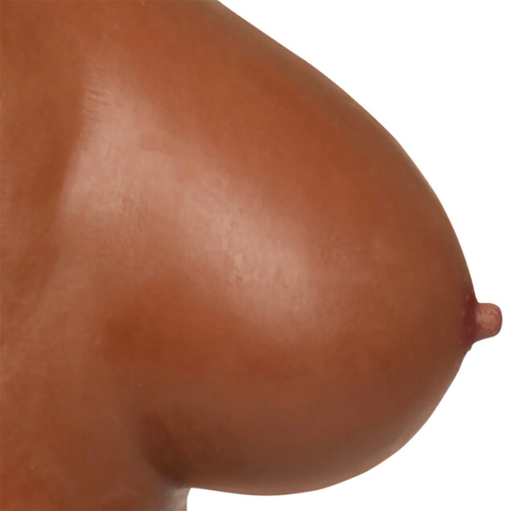 Master Series Perky Pair D-Cup Silicone Breasts in Dark