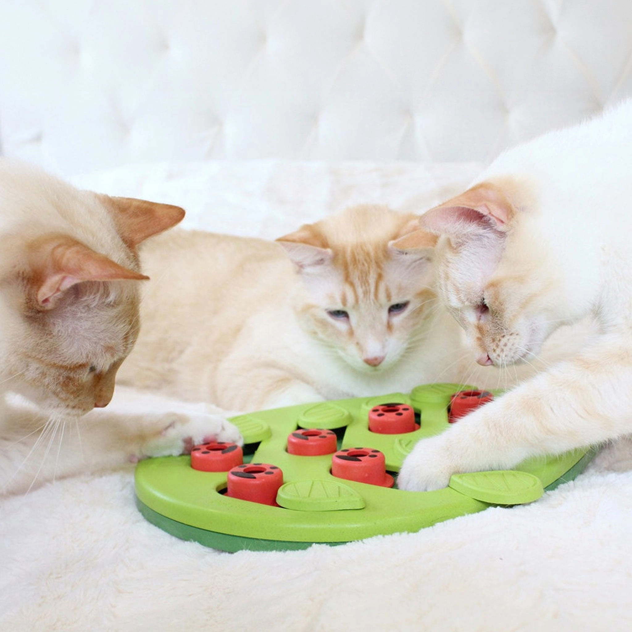 Nina Ottosson Buggin Out Puzzle Cat Toy