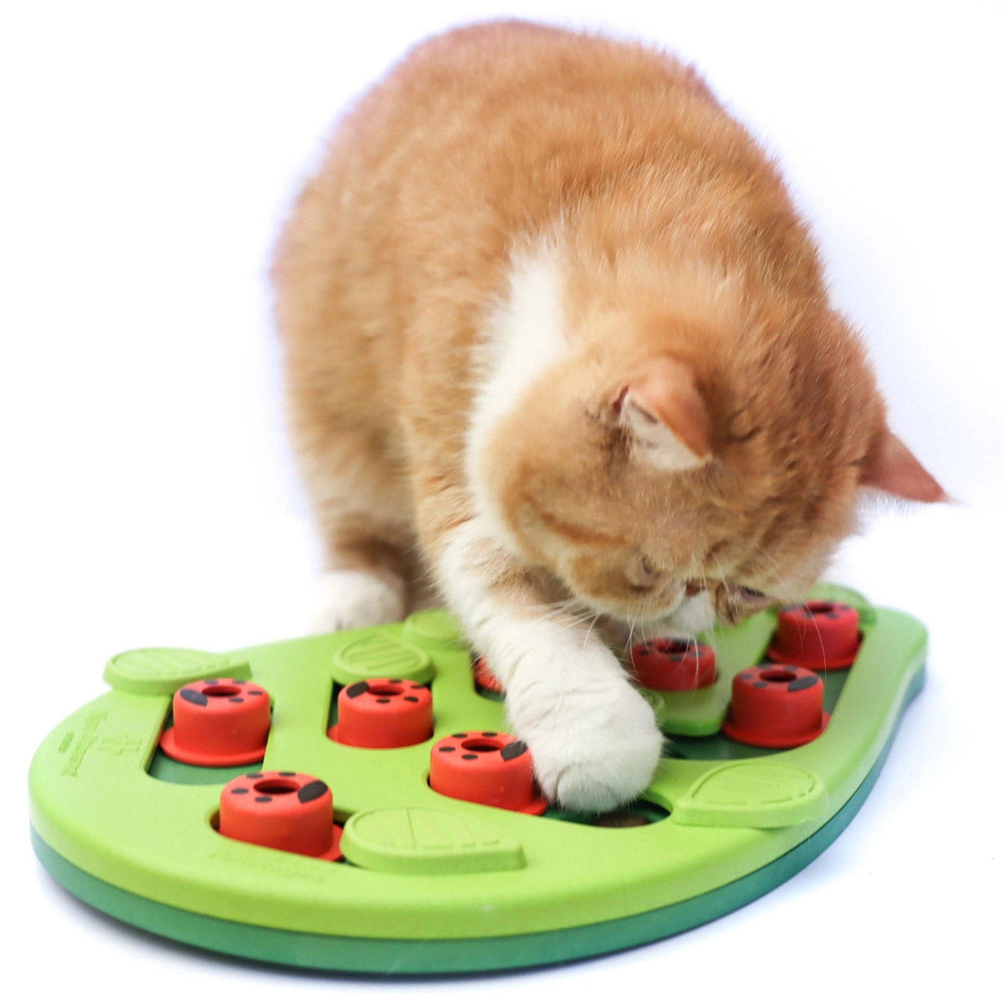 Nina Ottosson Buggin Out Puzzle Cat Toy