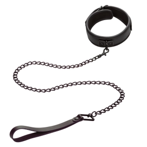 Nocturnal™ Collection Collar & Leash