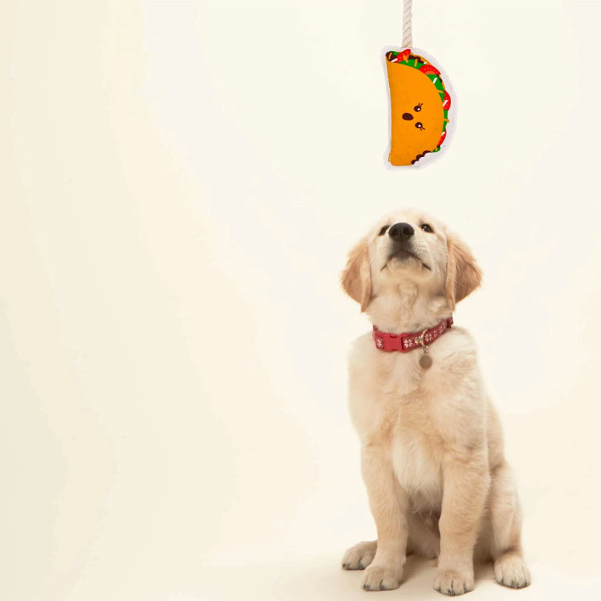 Ore Pet Rope Toy Taco Dog Toys