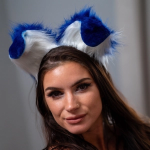 Royal Blue Pup Ears