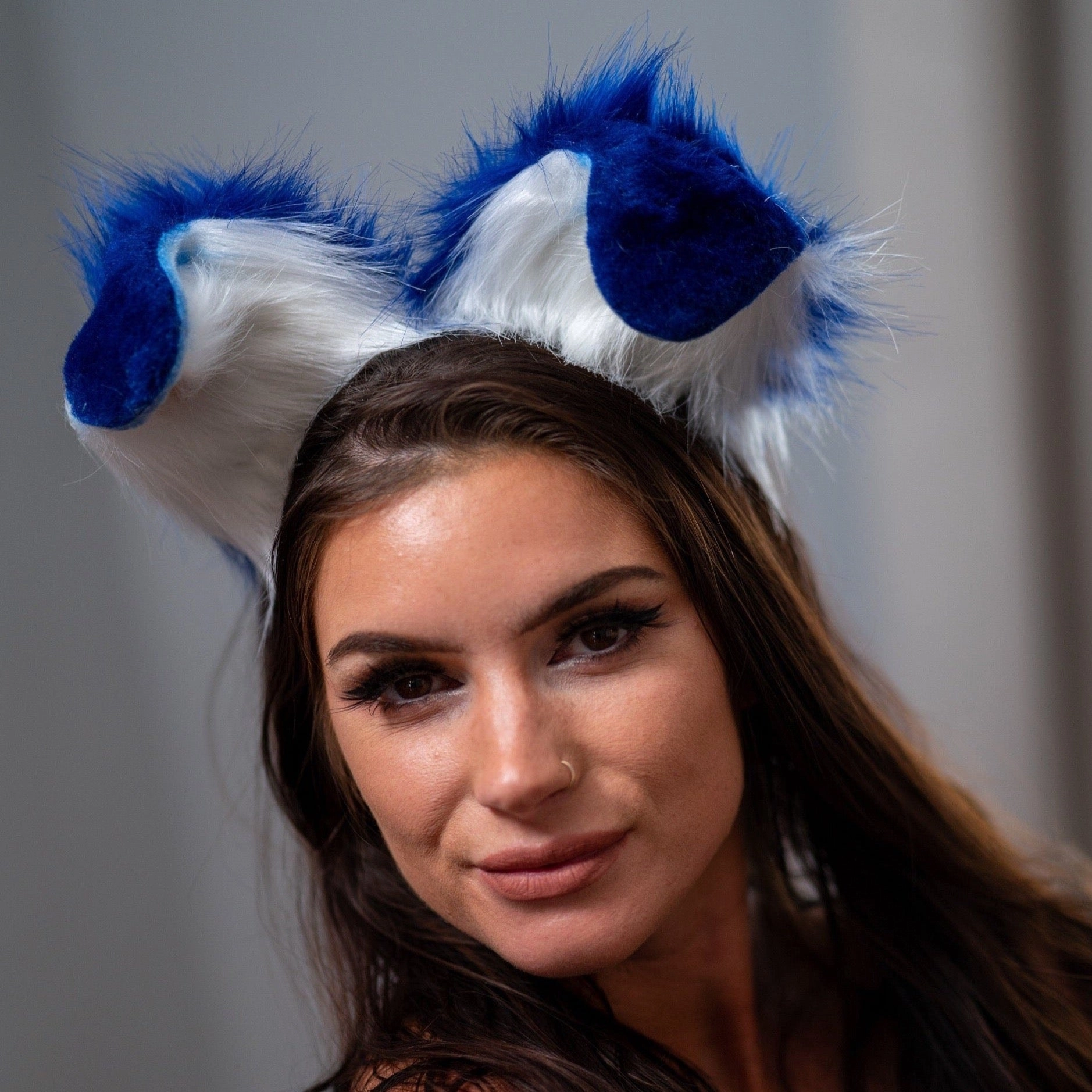 Royal Blue Pup Ears
