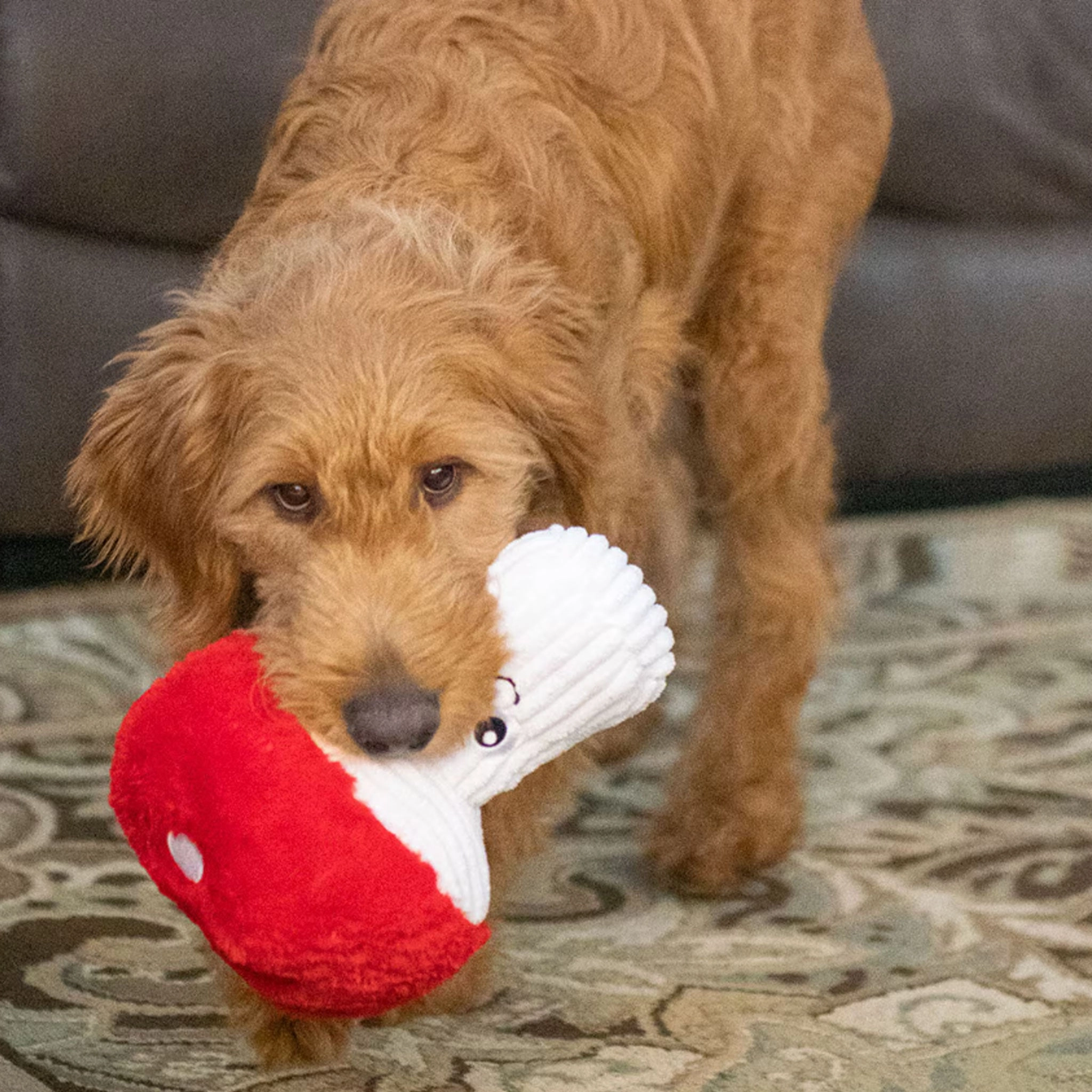 Thoozy Pet Mushroom Red & White Dog Toys