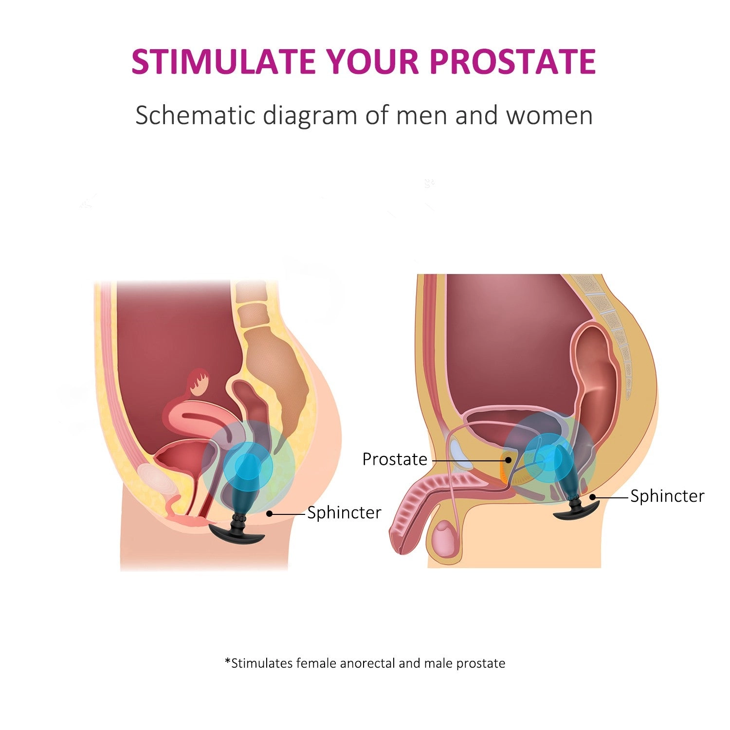 TP Premium Silicone Butt Anal Plug With 100% Silicone - Laphwing